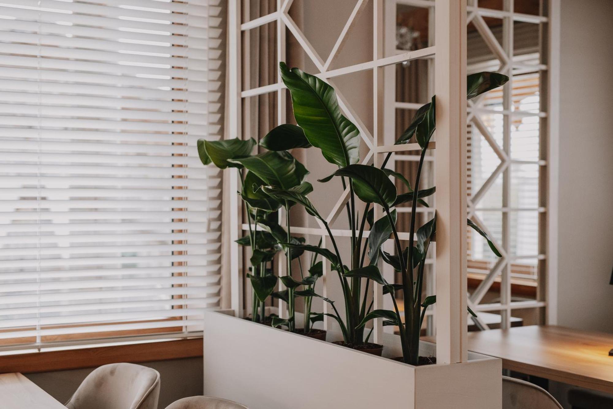 Z Wanna Wolnostojaca Apartment Stare Miasto (Konin)